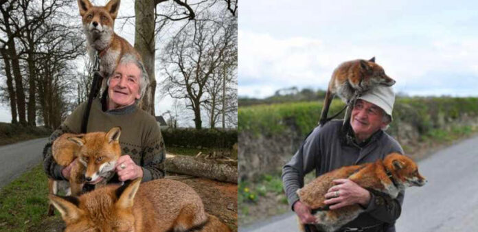 A man saved three foxes and formed an incredible bond with them.