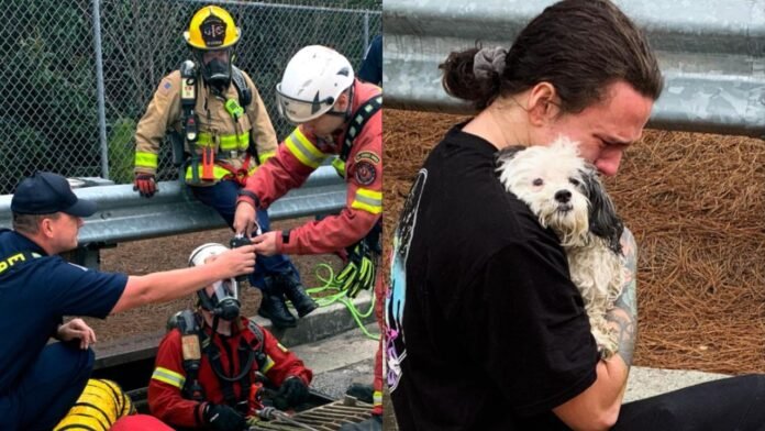 Firefighters save a truck driver's puppy from a storm drain, and they then give her back to her owner.