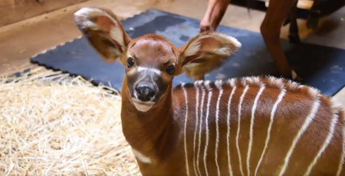 screenshoteasy - 2023-03-29T232621.043