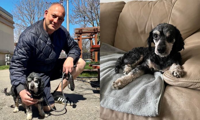 Untitled-1 Firefighter Rescues Stray Dog, Gives Him a Forever Home