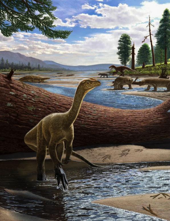 Unveiling a Prehistoric Enigma Africas Oldest Dinosaur Emerges as a New Species