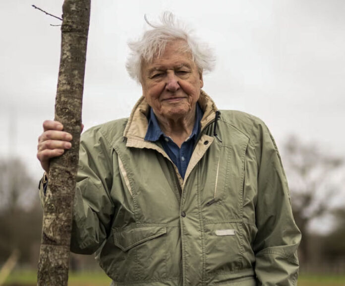 At 97 years old, Sir David Attenborough makes an inspiring comeback ...