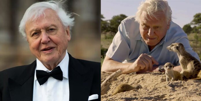 At 97 years old, Sir David Attenborough makes an inspiring comeback with a new TV show.