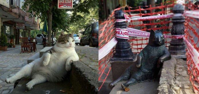 Following the death of a cherished street cat, the community placed a statue in her favourite location as a tribute.